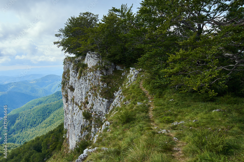 Mountains covered in forests