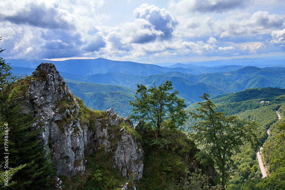 Obraz premium Mountains covered in forests