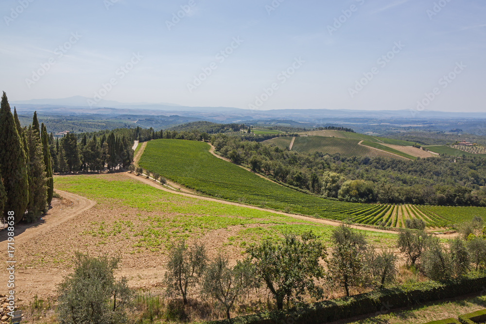 Typical Tuscany landscape with picturesque vineyards in the Chianti region,Tuscany, Italy