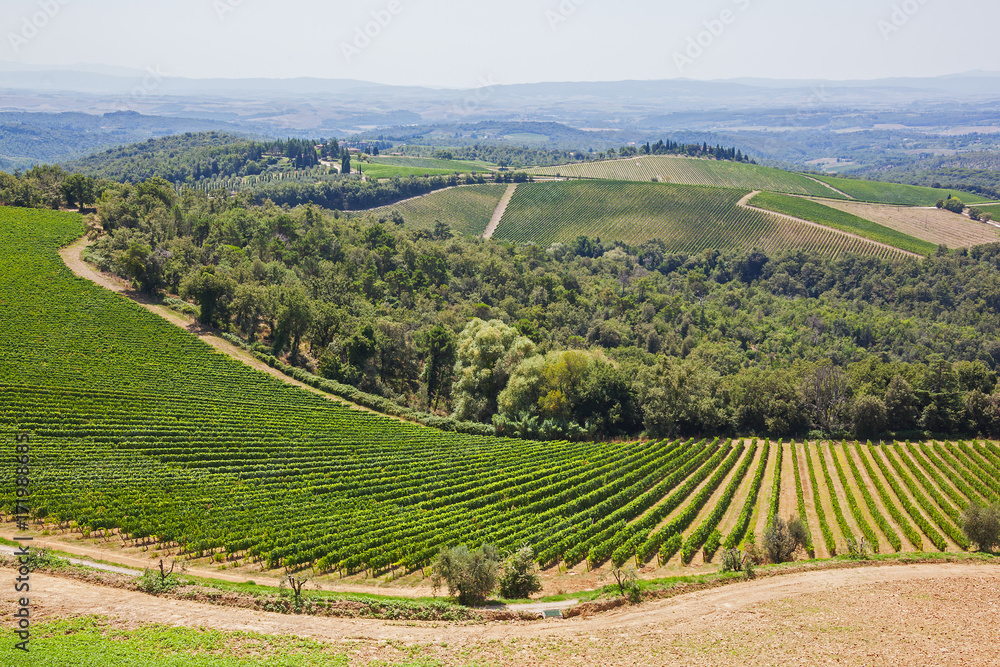 Beautiful Tuscany landscape with picturesque vineyards in the Chianti region,Tuscany, Italy
