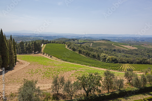 Typical Tuscany landscape with picturesque vineyards in the Chianti region Tuscany  Italy