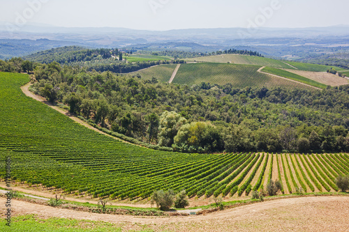 Beautiful Tuscany landscape with picturesque vineyards in the Chianti region Tuscany  Italy
