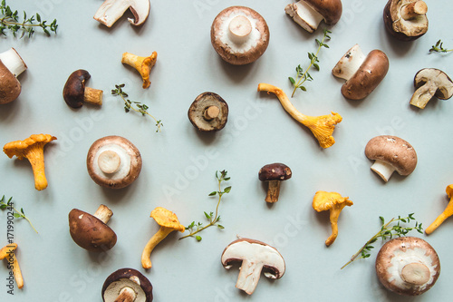 Fresh mixed forest mushrooms on the blue background, top view