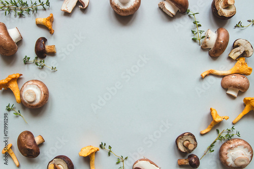 Fresh mushrooms border background. Top view, with copy space