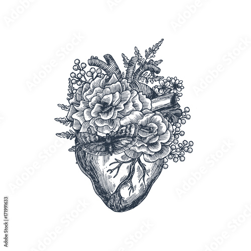 Tattoo anatomy vintage illustration. Floral anatomical heart. Vector illustration
