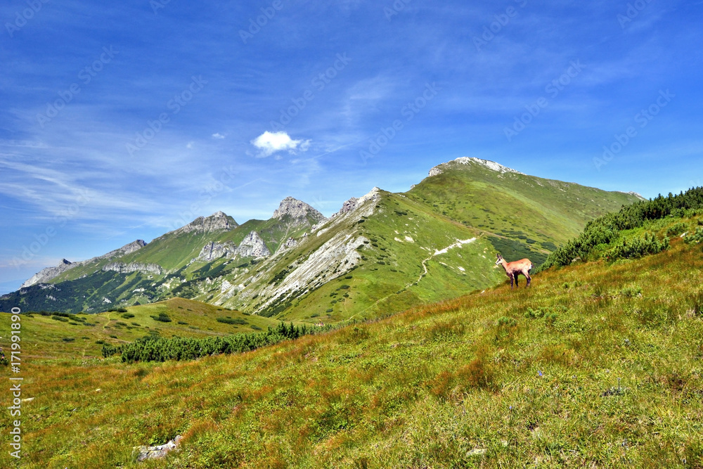 Tatra Mountains. Slovakia
