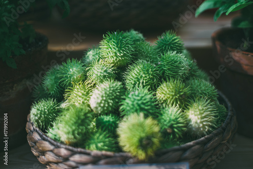 Wattled basket with heap of ripe green Cucumis anguria  shallow depth of field  dark settings
