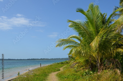 Weg am Meer in Bocas del Toro  Panama