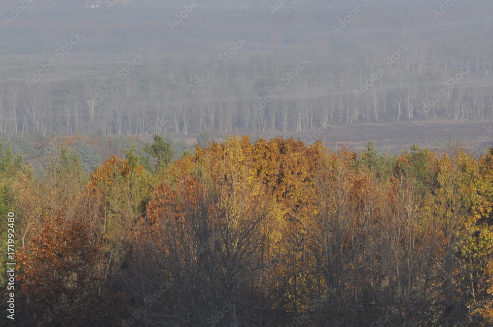 Fototapeta premium Autumn New England