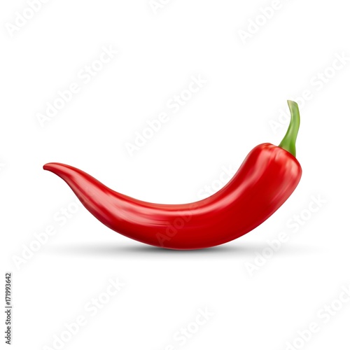 realistic Red hot natural chili pepper  isolated image with shadow vector illustration