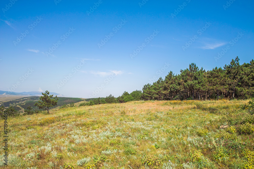 Fototapeta premium Beautiful Crimean mountain landscape