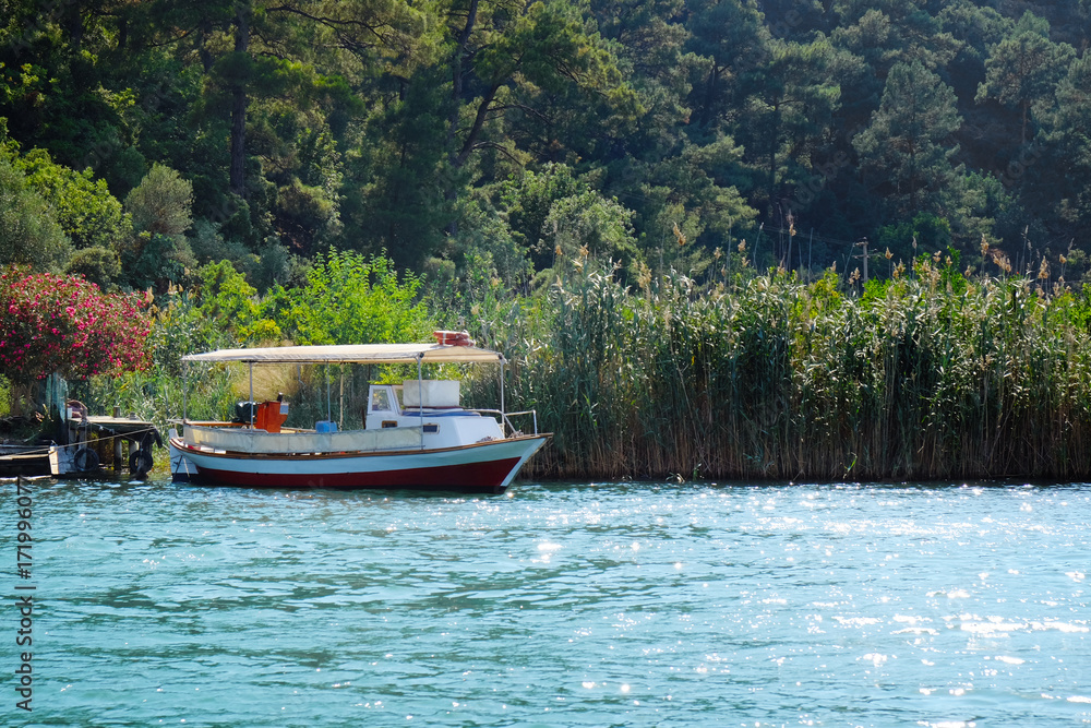 Picturesque view of motor boat on river in sunny summer day Picturesque view of motor boat on river in sunny summer day