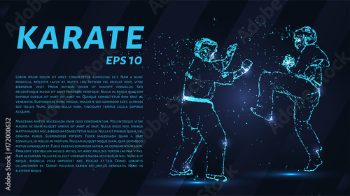 Karate of particles. Karate consists of small circles.