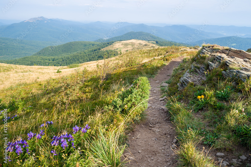Bieszczady, Bukowe Berdo