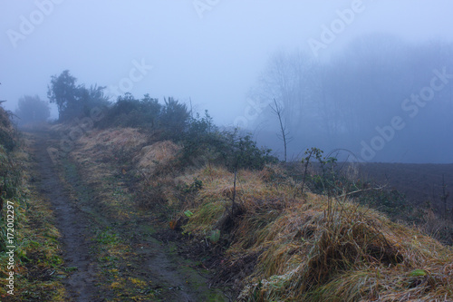 Misty dirt road. Fog in autumn. Silhouettes of tree