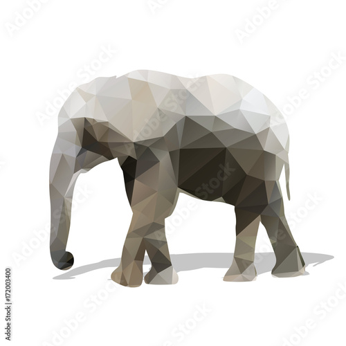 Elephant geometric silhouette