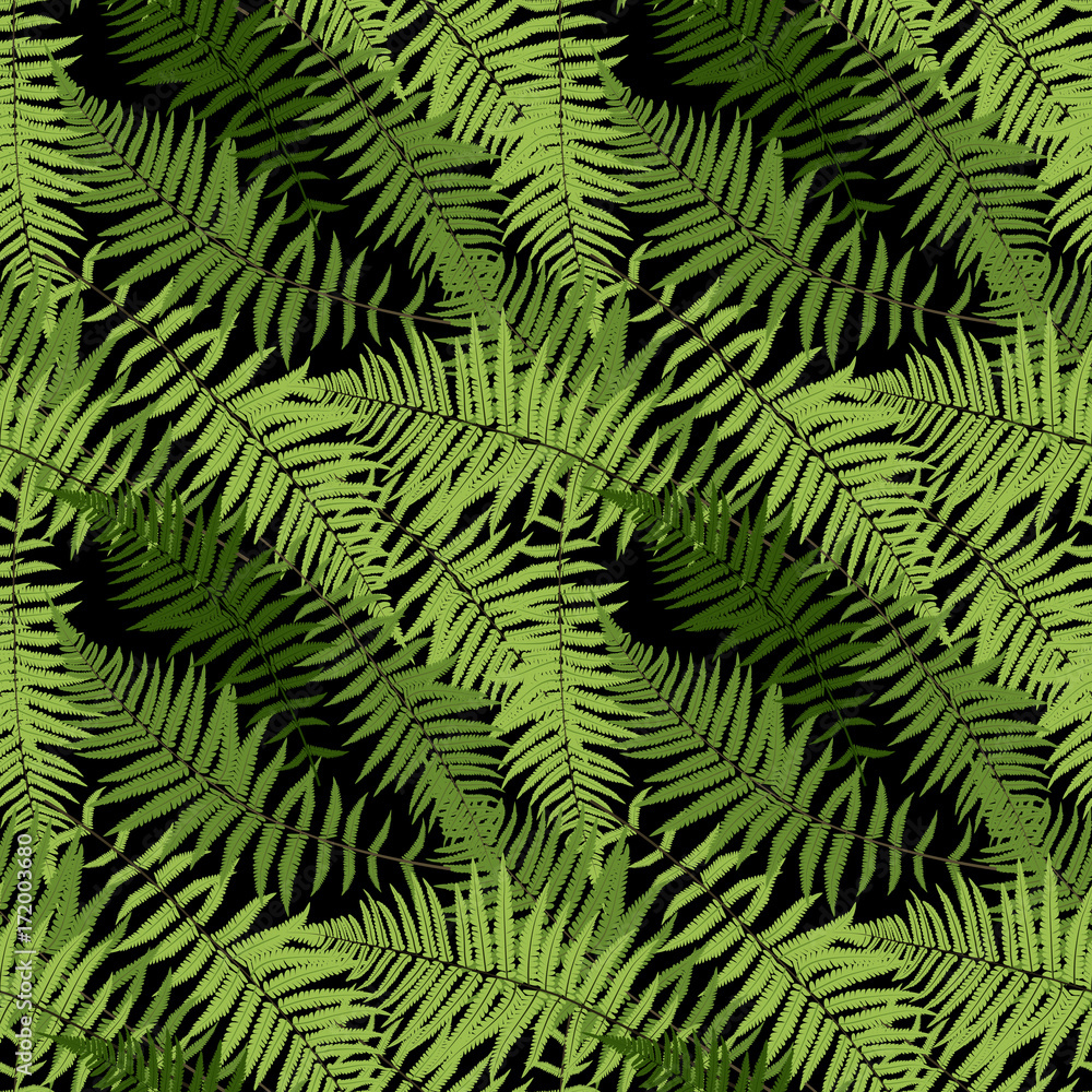Fern Leaf Vector Fern Leaf Vector Seamless Pattern Background Il