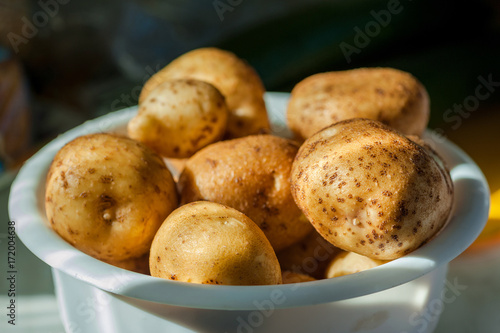 Bowl Of Freshly Picked Potatoes, Close Up, Horizontal