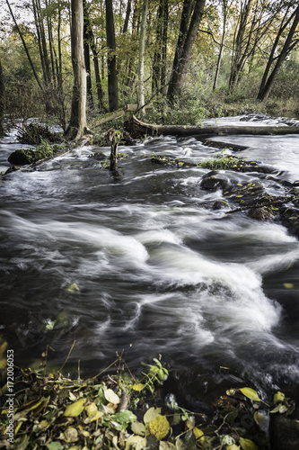 Autumn brook in the forest