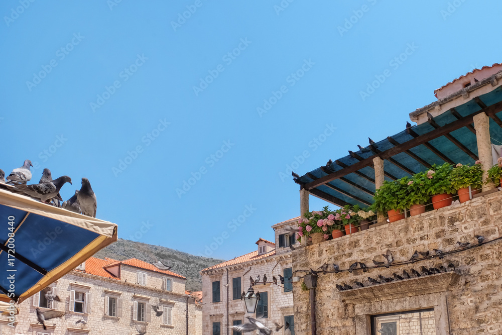 View of old stone houses with pigeons in historical city