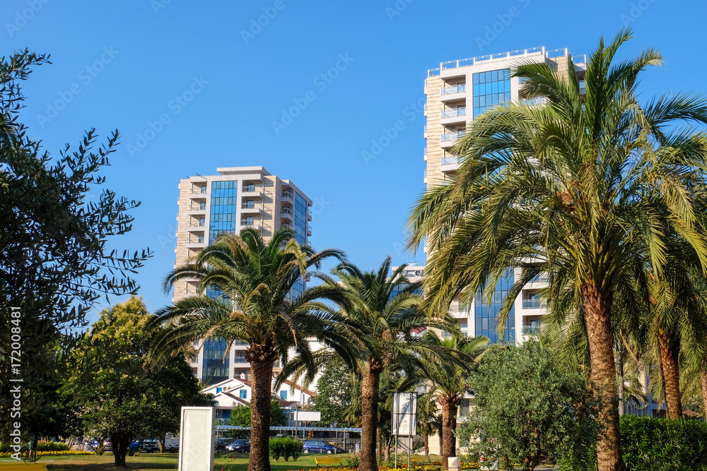 View of beautiful palms and buildings on sunny day