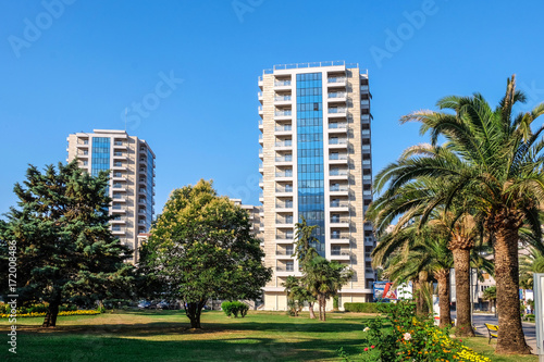 View of beautiful tropical trees and buildings on sunny day