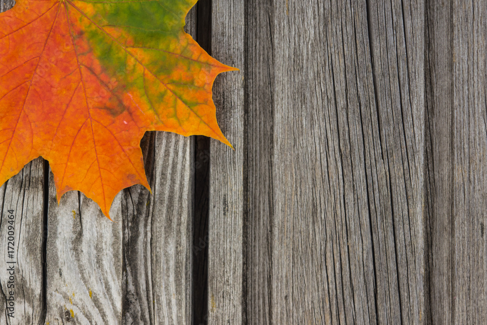 Bright autumn leaves on an aged wooden surface - vintage background Bright autumn leaves on an aged wooden surface - vintage background