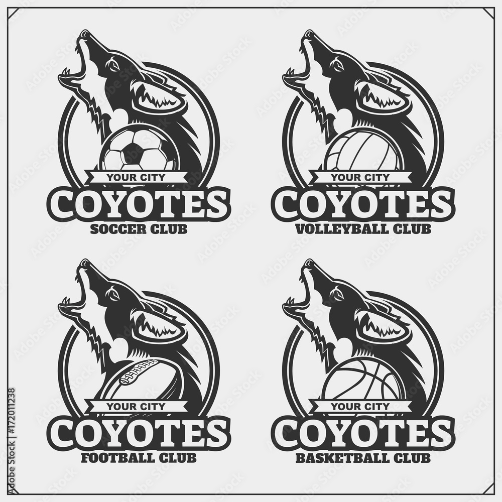 Φωτογραφία Volleyball, baseball, soccer and football logos and labels