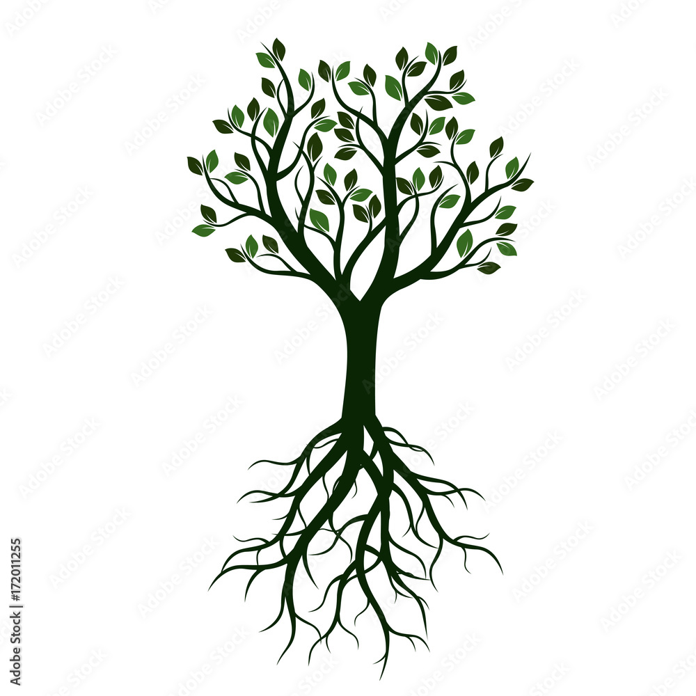 Green Tree with Leaves and Roots. Vector Illustration.