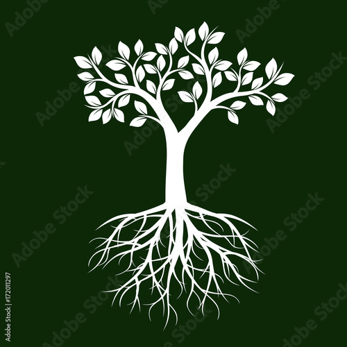 White Tree with Leaves and Roots on green background. Vector Illustration.