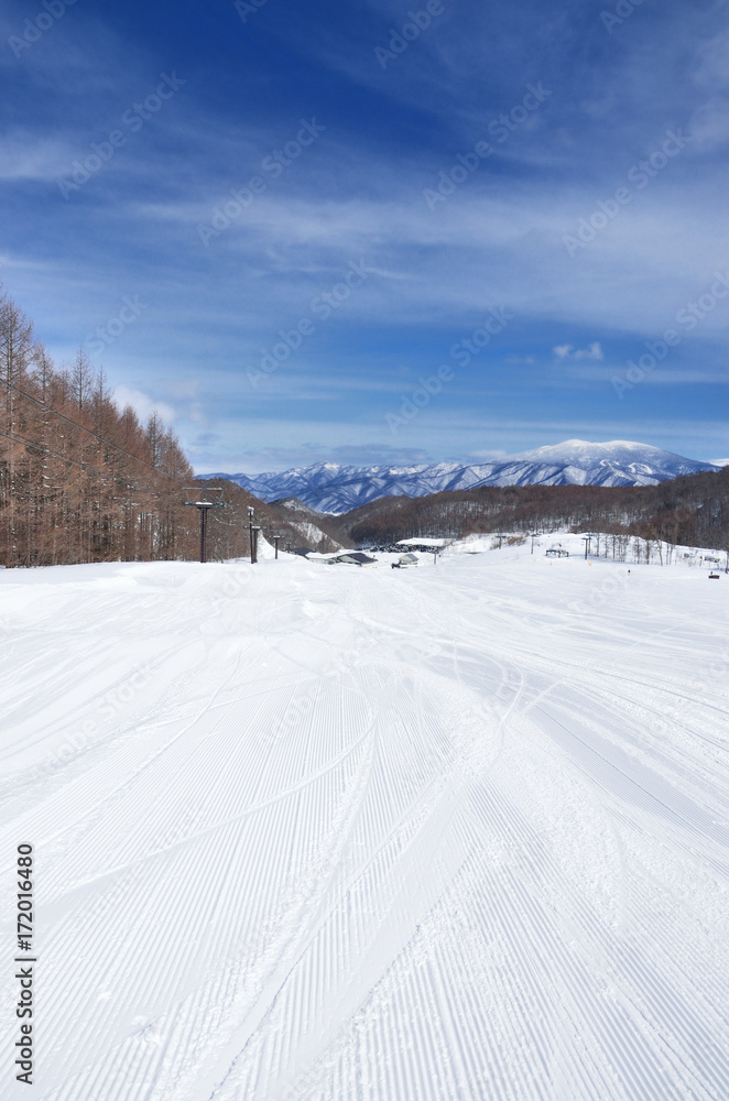 冬晴れのスキー場