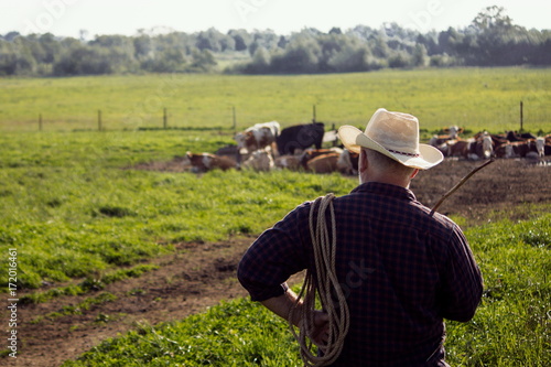 пастух в шляпе на пастбище с коровами