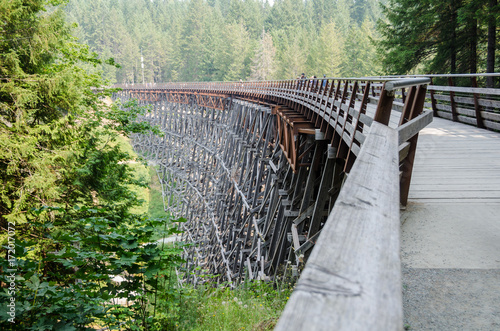A sweeping view of Kinsol Trestle, high above the Koksilah River photo