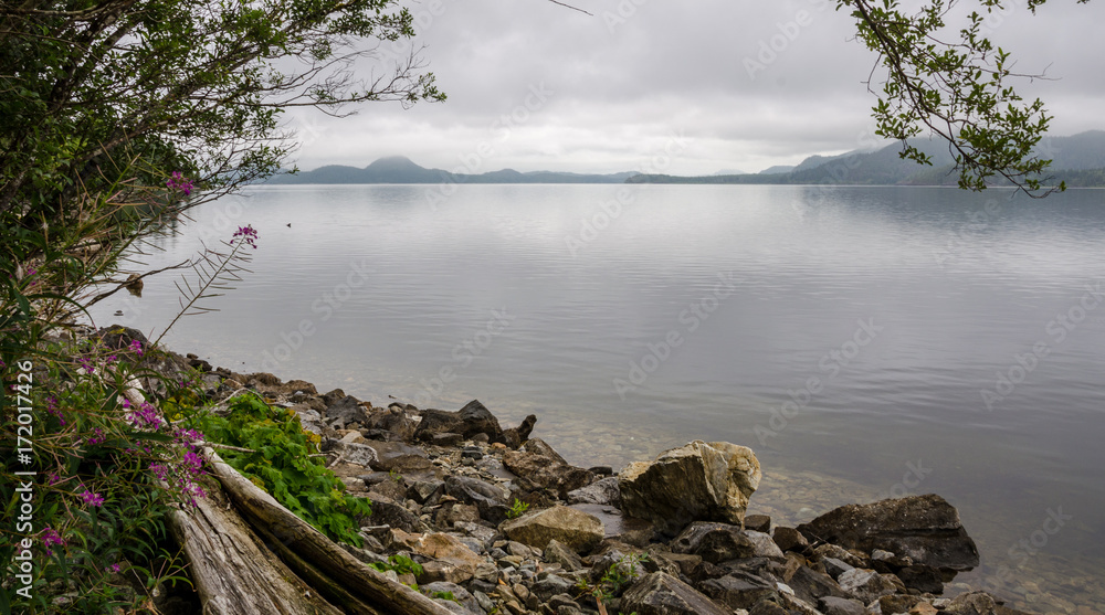 Φωτογραφία The shores of Kennedy Lake near Tofino
