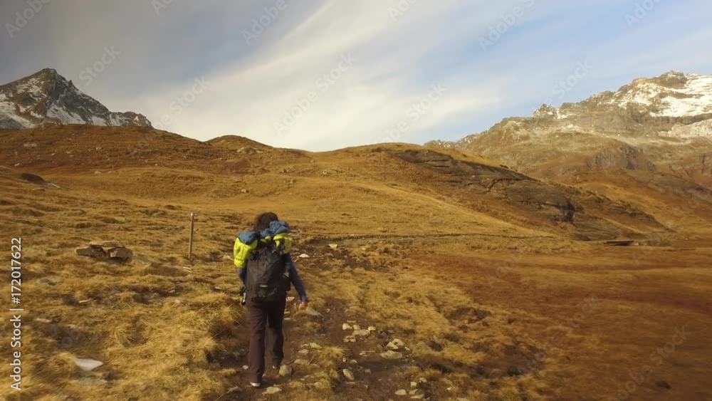 woman hiker walking on fall fields path to snowy mounts.Following behind view. Sunny autumn day Hiking in colorful red forest wild nature mountain outdoors.Alps Devero lake park. 4k video woman hiker walking on fall fields path to snowy mounts.Following behind view. Sunny autumn day Hiking in colorful red forest wild nature mountain outdoors.Alps Devero lake park. 4k video