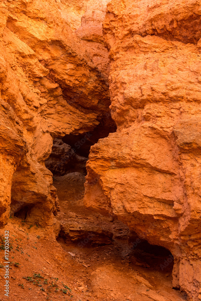 Bryce Canyon National Park, Utah, Hoodoos, Spires Pinnacles, Red Rock Bryce Canyon National Park, Utah, Hoodoos, Spires Pinnacles, Red Rock