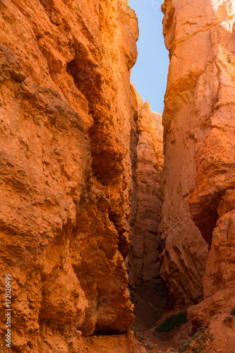 Bryce Canyon National Park  Utah  Hoodoos  Spires Pinnacles  Red Rock