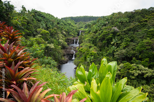 Umauma Falls, Hawaii 1