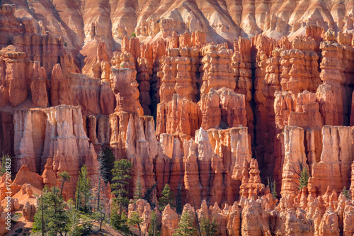 Canvas Print Bryce Canyon National Park, Utah, Hoodoos, Spires Pinnacles, Red Rock