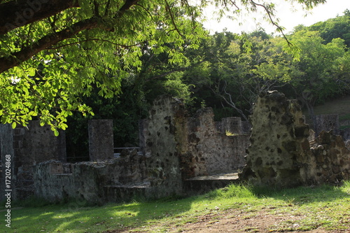 Vielles pierres et jardin