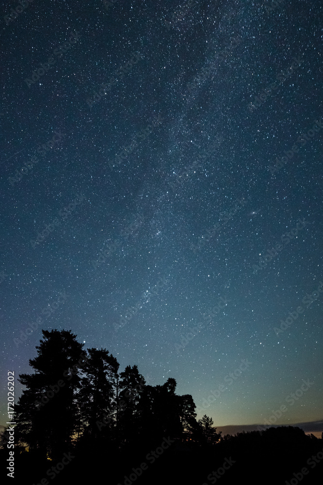 Milky way galaxy in clear starry night sky and tree silhouettes
