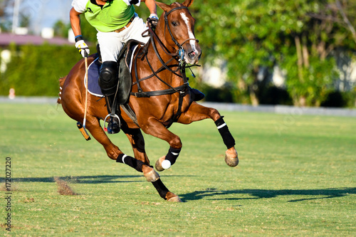 Action Shot Of the Polo Player