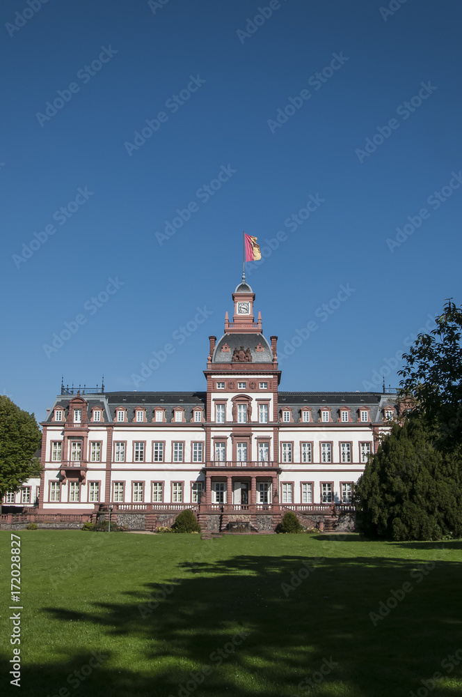 Fototapeta premium Castle