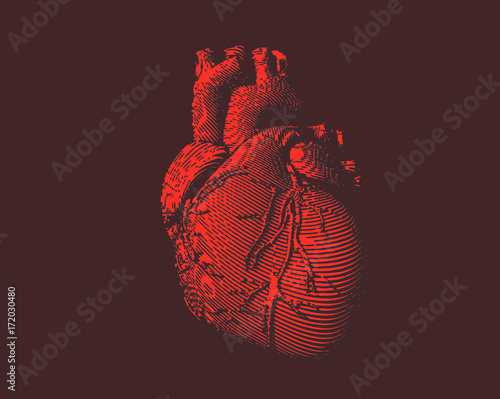 Red human heart illustration on brown BG