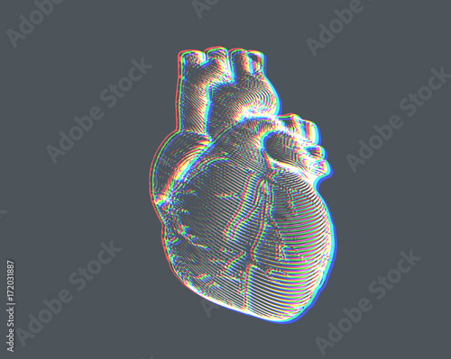 Human heart illustration with chromatic abberation FX