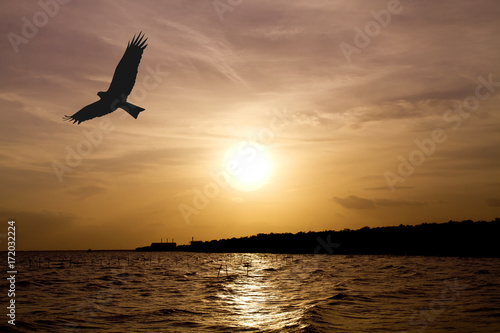 Under the concept of good leadership  teamwork  Like birds flying through the sunset