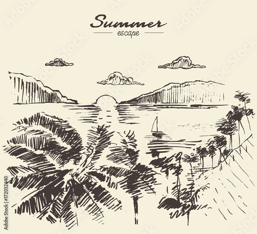 Beautiful drawn vacation palm ocean vector sketch