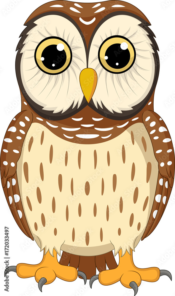 Fototapeta premium Cartoon owl isolated on white background