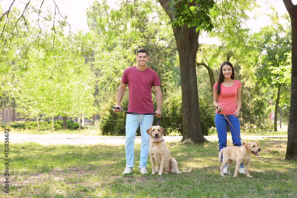 Obraz premium Young couple walking with yellow retrievers in park