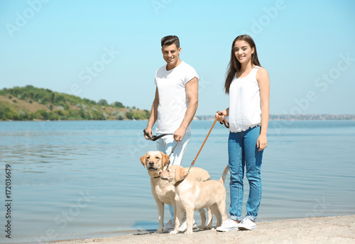 Young couple walking yellow retrievers near river